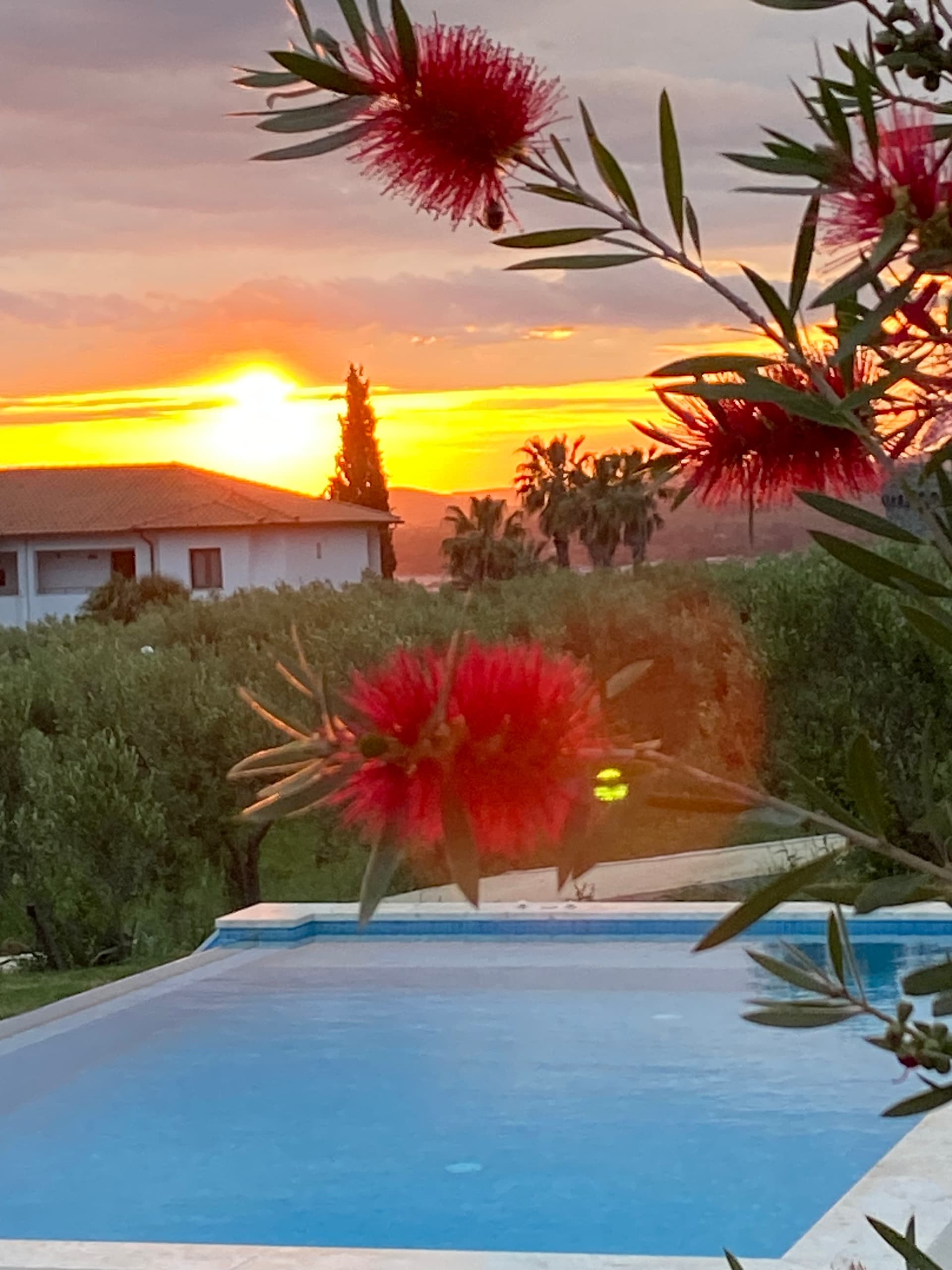 01 facilities.free_amenities